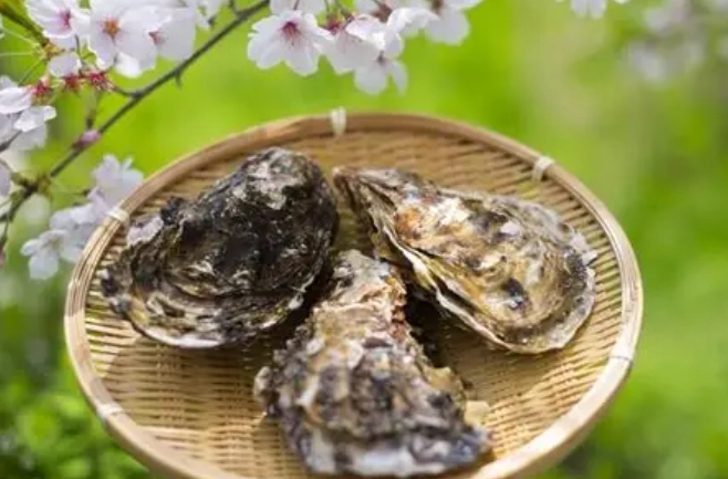 牡蠣季節全攻略：從產地到餐桌，鮮蚵怎麼挑、怎麼煮最對味