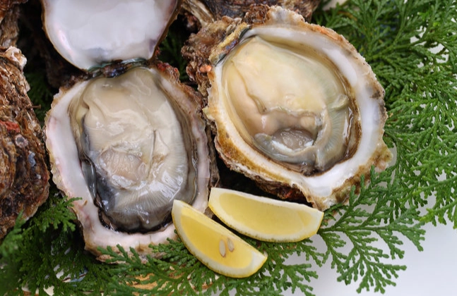 鮮蚵料理 鮮蚵料理