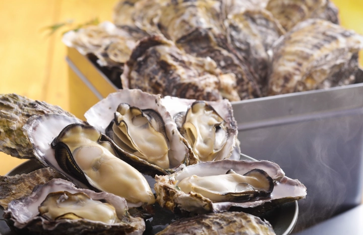 鮮蚵料理 鮮蚵料理