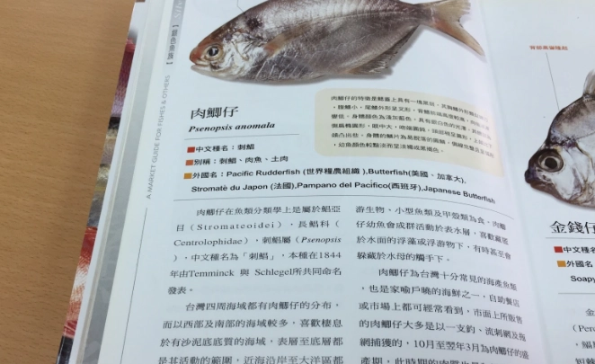 新鮮魚選購技巧