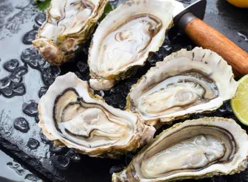生蠔牡蠣如何分辨