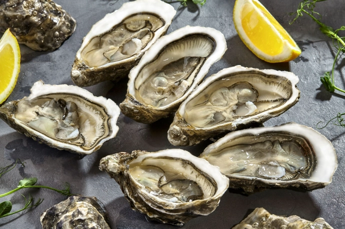 台灣 牡蠣 種類