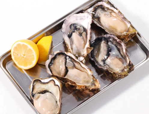 台灣牡蠣品種