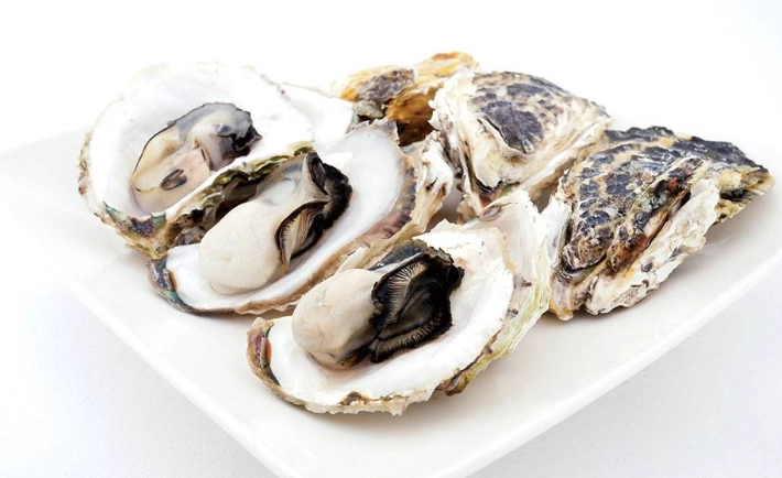 牡蠣跟生蠔一樣嗎？深度解析差異、選購技巧與台灣常見種類