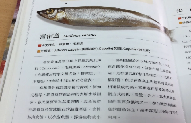 新鮮魚選購技巧