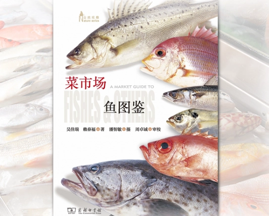 台灣菜市場魚類