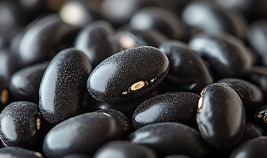 黑豆決明子功效