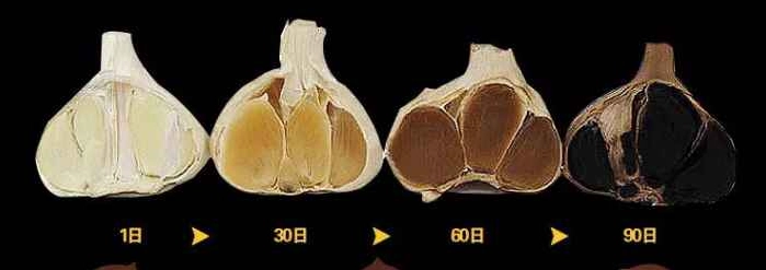 黑蒜頭製作方法