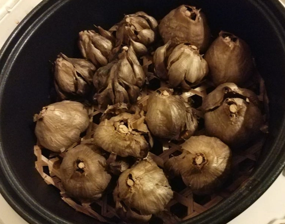 自製黑蒜頭