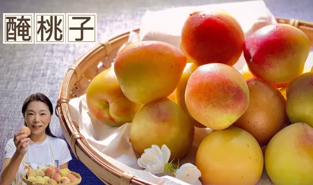 醃桃子品種