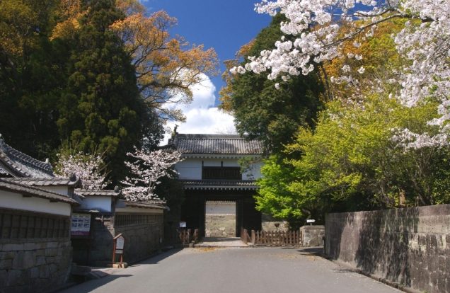 南九州自由行 南九州自由行