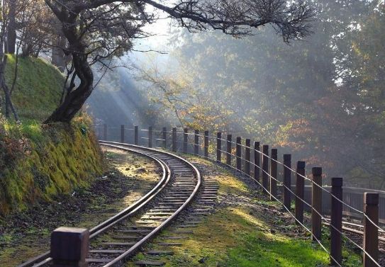 嘉義景點一日遊
