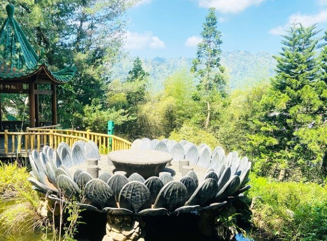 青山坪咖啡農場