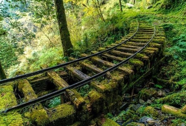 台灣山毛櫸國家步道