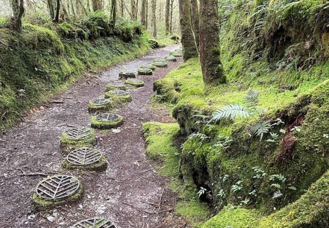 台灣山毛櫸國家步道