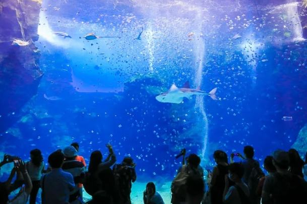 台北水族館