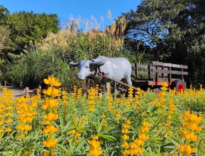 貓空小天空步道