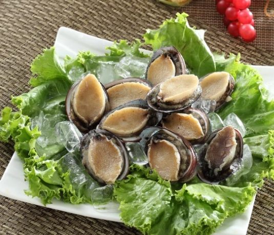 九孔鮑台灣產地