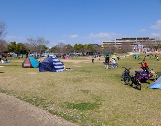 中興大學周邊旅遊 中興大學周邊旅遊