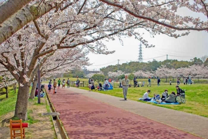 台中中興大學景點 台中中興大學景點