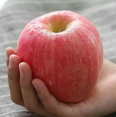 空腹吃蘋果好嗎