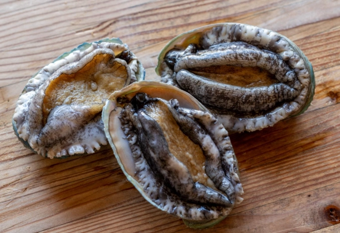 鲍鱼选购 鲍鱼选购