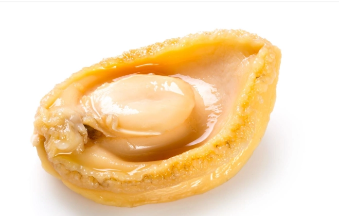 鲍鱼选购 鲍鱼选购