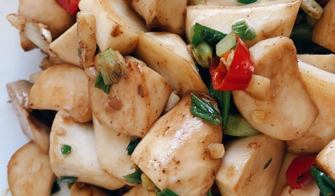 杏鮑菇食譜 杏鮑菇食譜