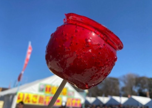 苹果糖葫芦做法