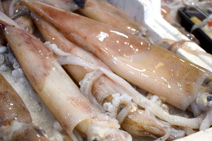 台灣大魷魚料理