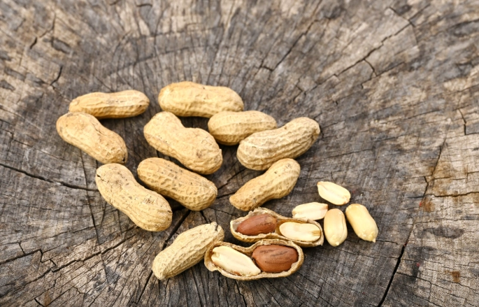 花生健康影響