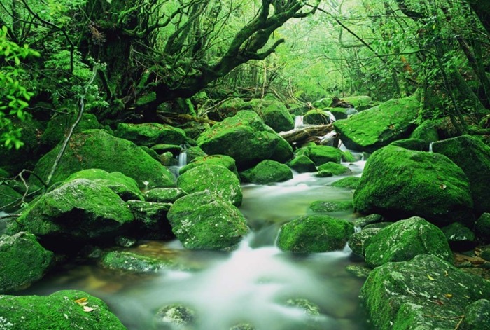 南九州旅遊攻略