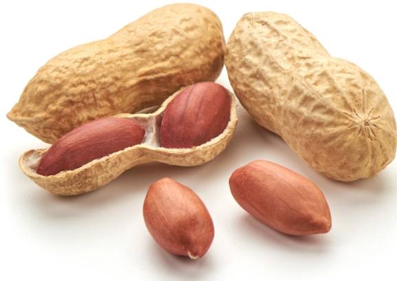 花生營養