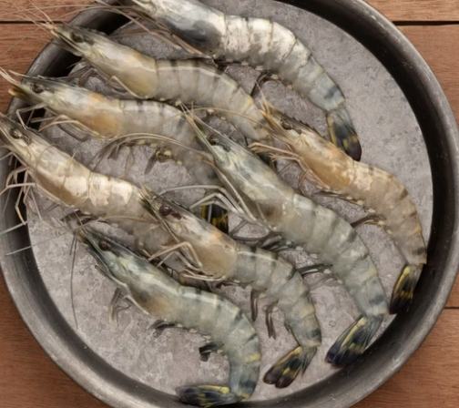 草蝦選購