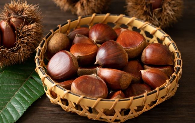 栗子營養價值