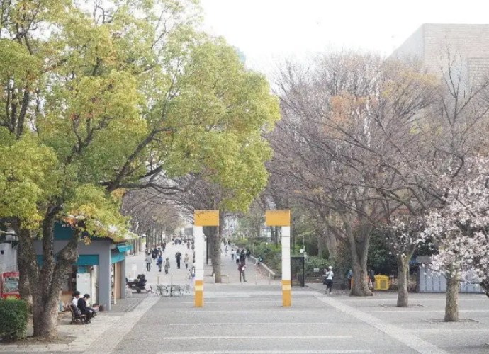 東京親子旅遊澀谷