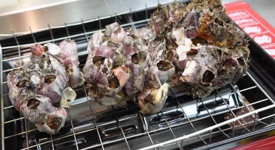 藤壺不可食部分