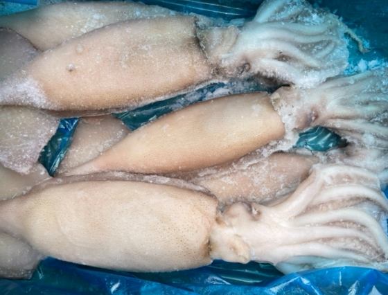 台灣大魷魚料理