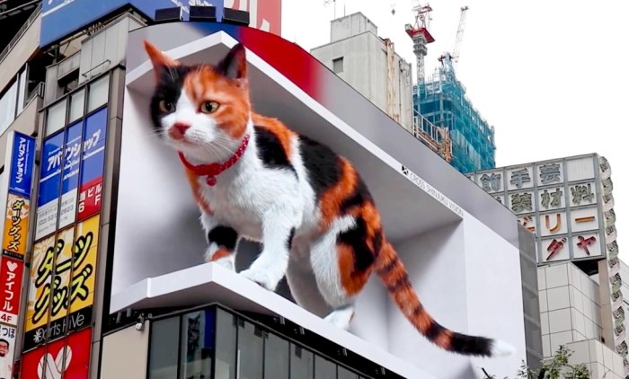 澀谷帶小孩去處