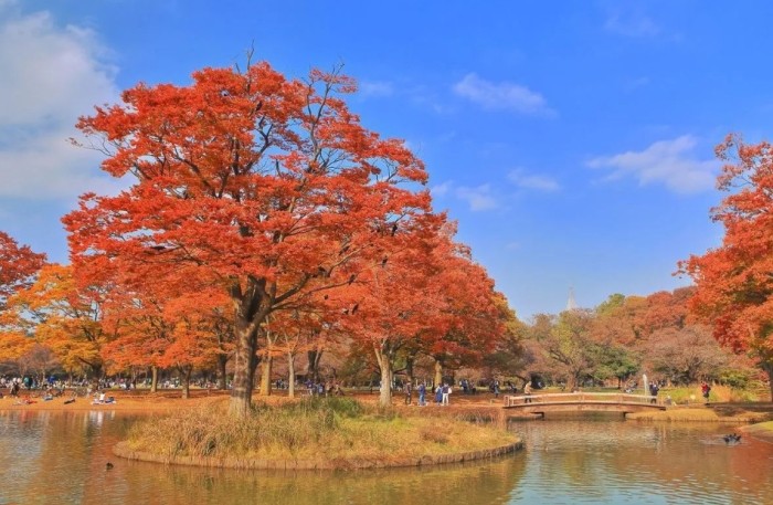 澀谷帶小孩去處