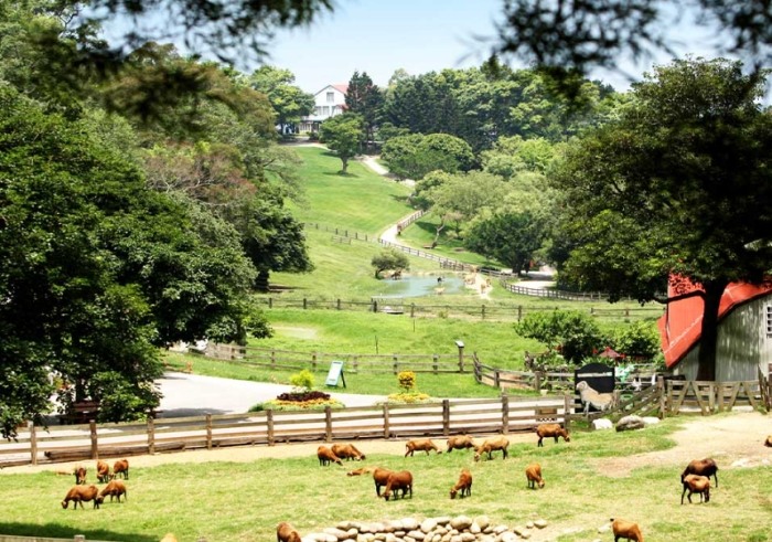 苗栗溫泉大眾池