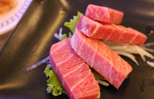 黑鮪魚營養 黑鮪魚營養