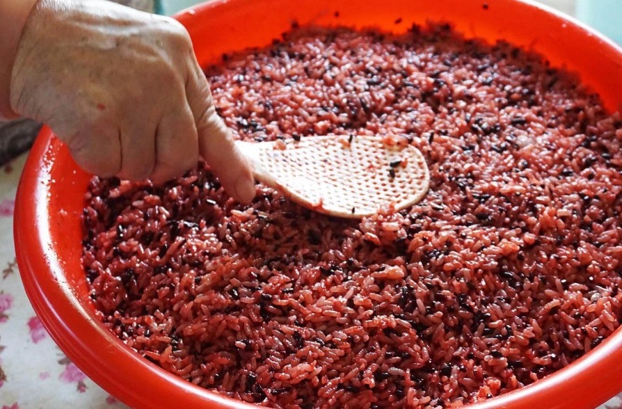 紅麴醬料理食譜 紅麴醬料理食譜