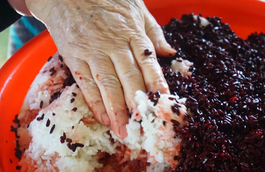 紅麴醬料理食譜 紅麴醬料理食譜