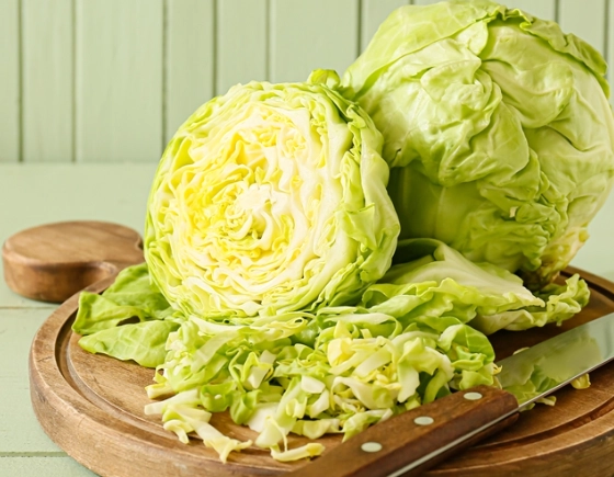 高麗菜乾安全 高麗菜乾安全