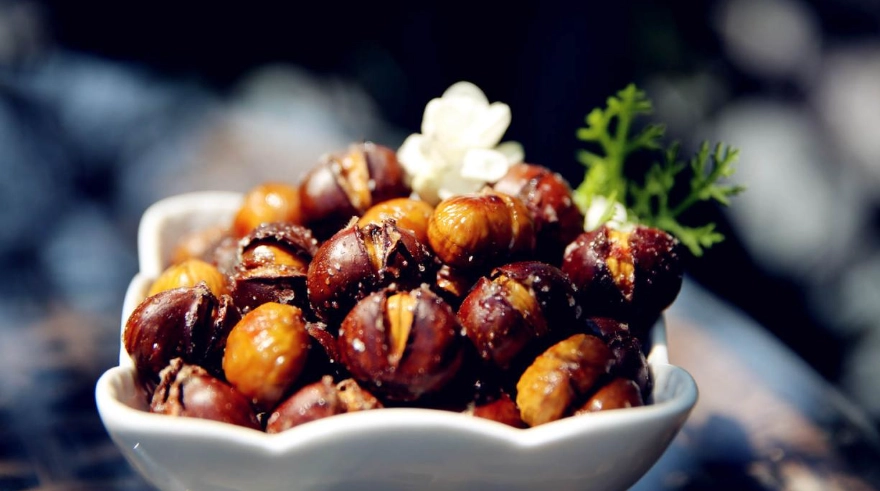 栗子樹病害 栗子樹病害