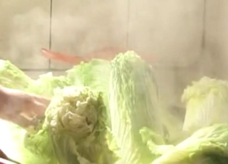 居家發酵食品 居家發酵食品