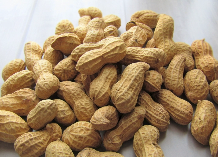 中醫花生養生 中醫花生養生