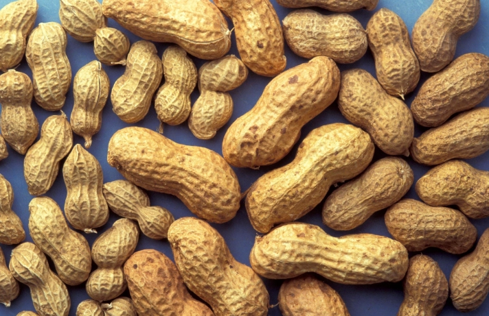 花生營養中醫觀點 花生營養中醫觀點