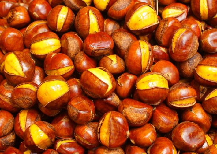 栗子過敏 栗子過敏